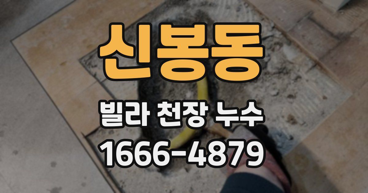 신봉동 빌라 천장 누수