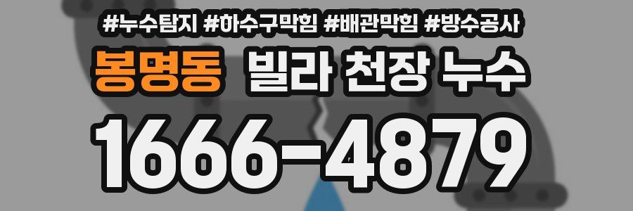봉명동 빌라 천장 누수