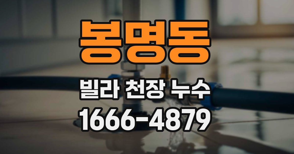 봉명동 빌라 천장 누수