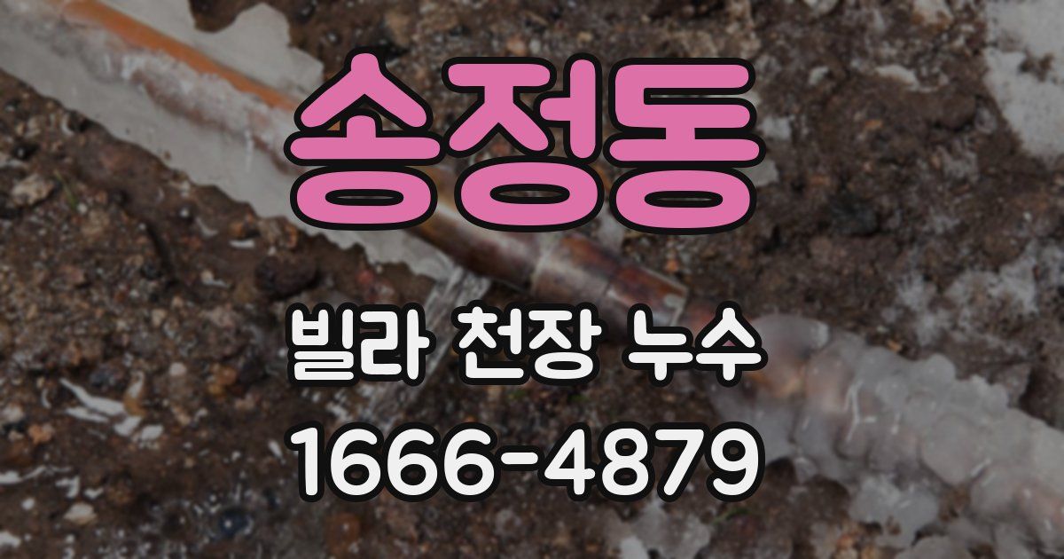 송정동 빌라 천장 누수