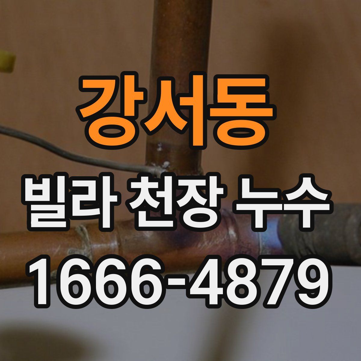 강서동 빌라 천장 누수