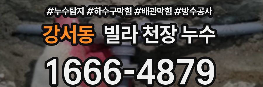 강서동 빌라 천장 누수