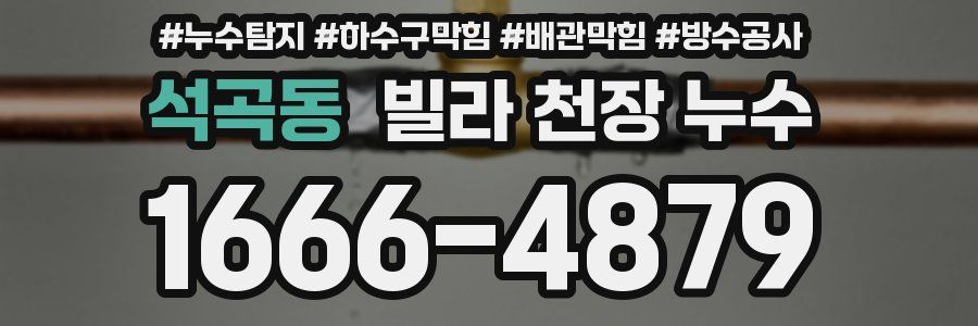 석곡동 빌라 천장 누수