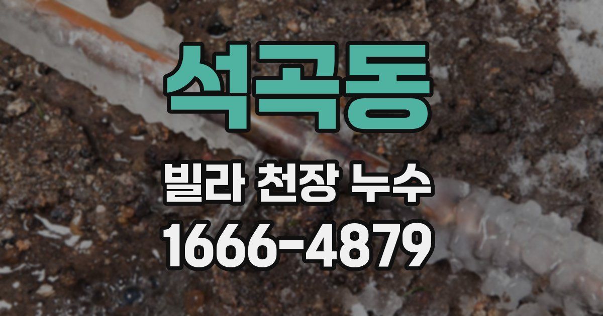 석곡동 빌라 천장 누수