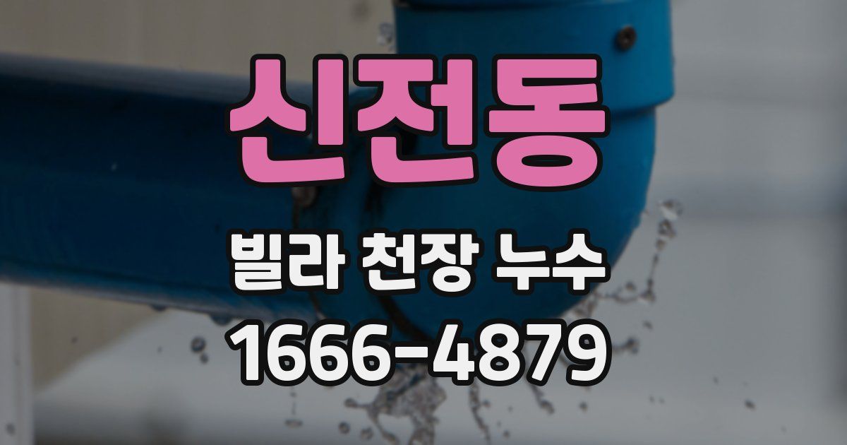 신전동 빌라 천장 누수