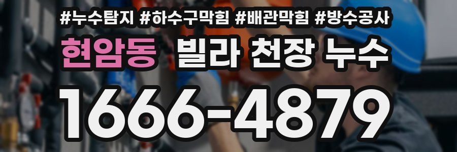 현암동 빌라 천장 누수