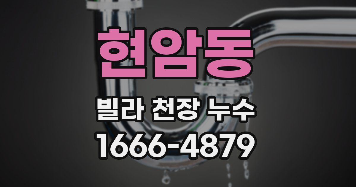 현암동 빌라 천장 누수