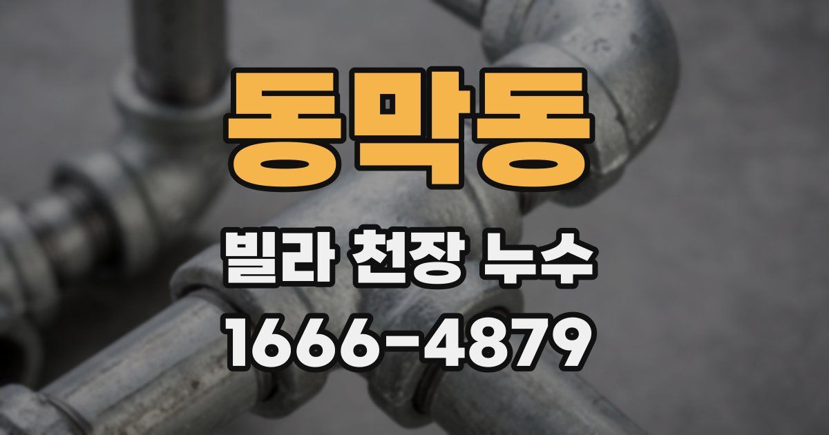동막동 빌라 천장 누수