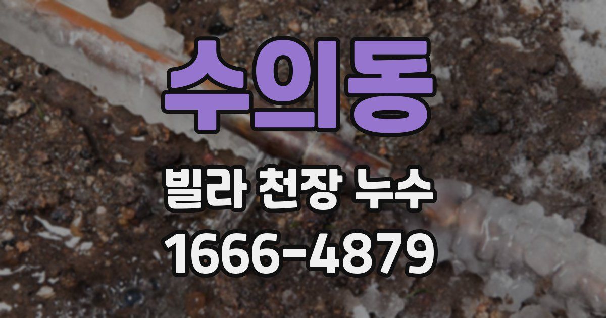 수의동 빌라 천장 누수