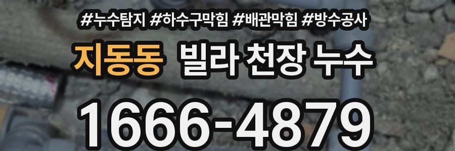 지동동 빌라 천장 누수