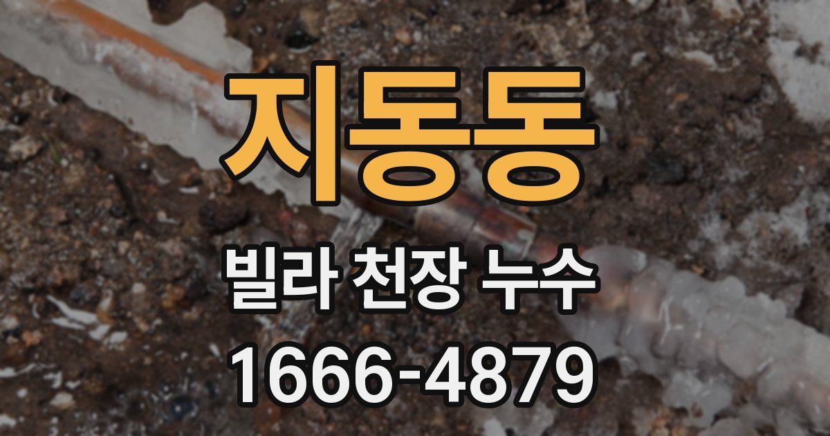 지동동 빌라 천장 누수