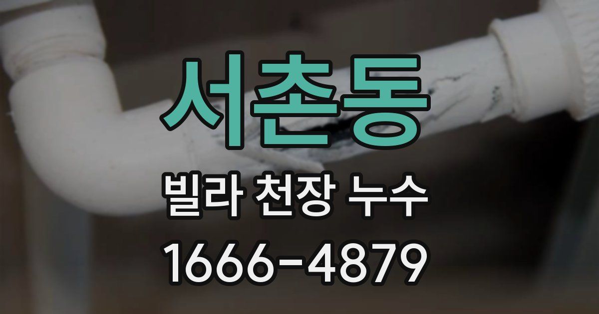 서촌동 빌라 천장 누수