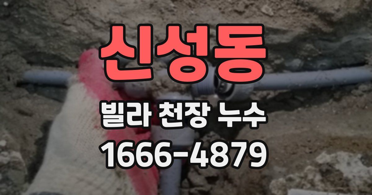 신성동 빌라 천장 누수