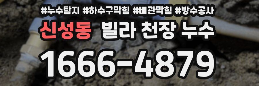 신성동 빌라 천장 누수