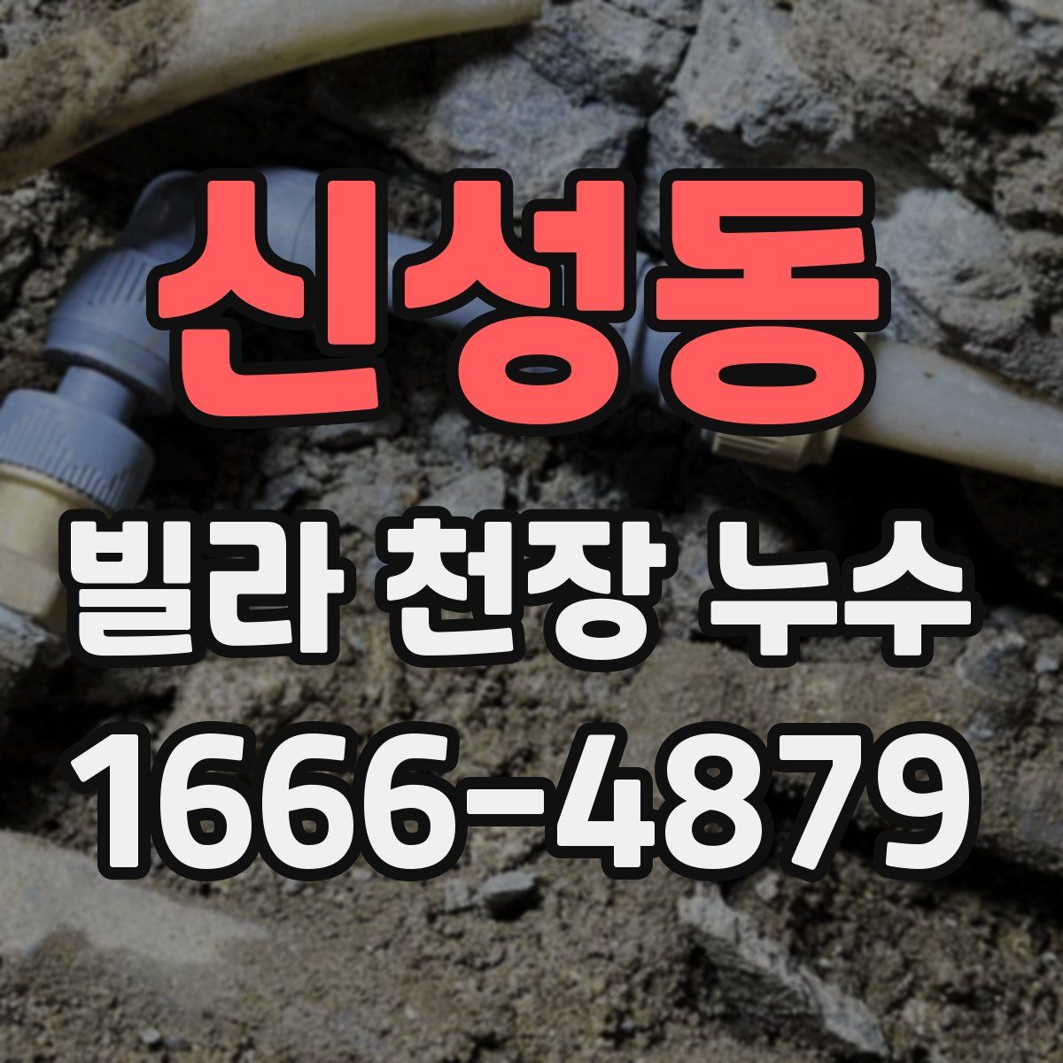 신성동 빌라 천장 누수
