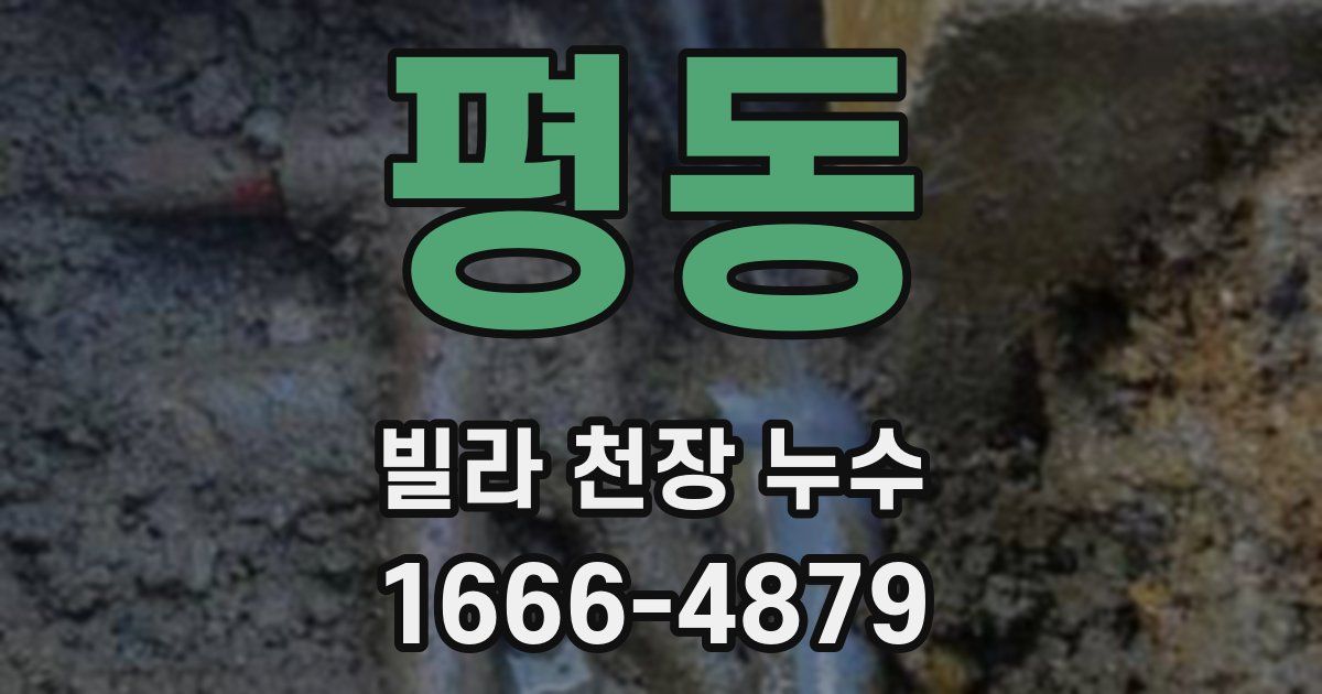 평동 빌라 천장 누수