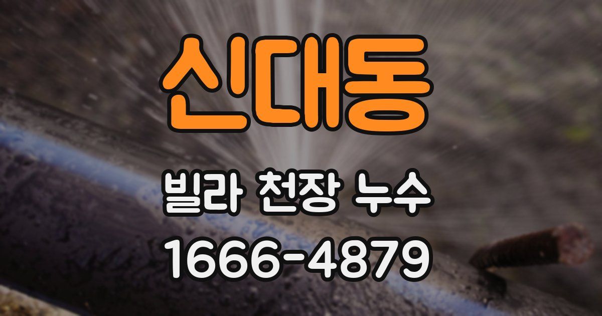 신대동 빌라 천장 누수