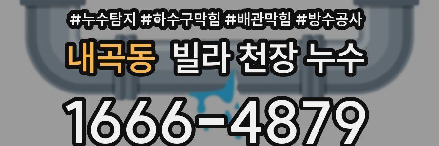 내곡동 빌라 천장 누수