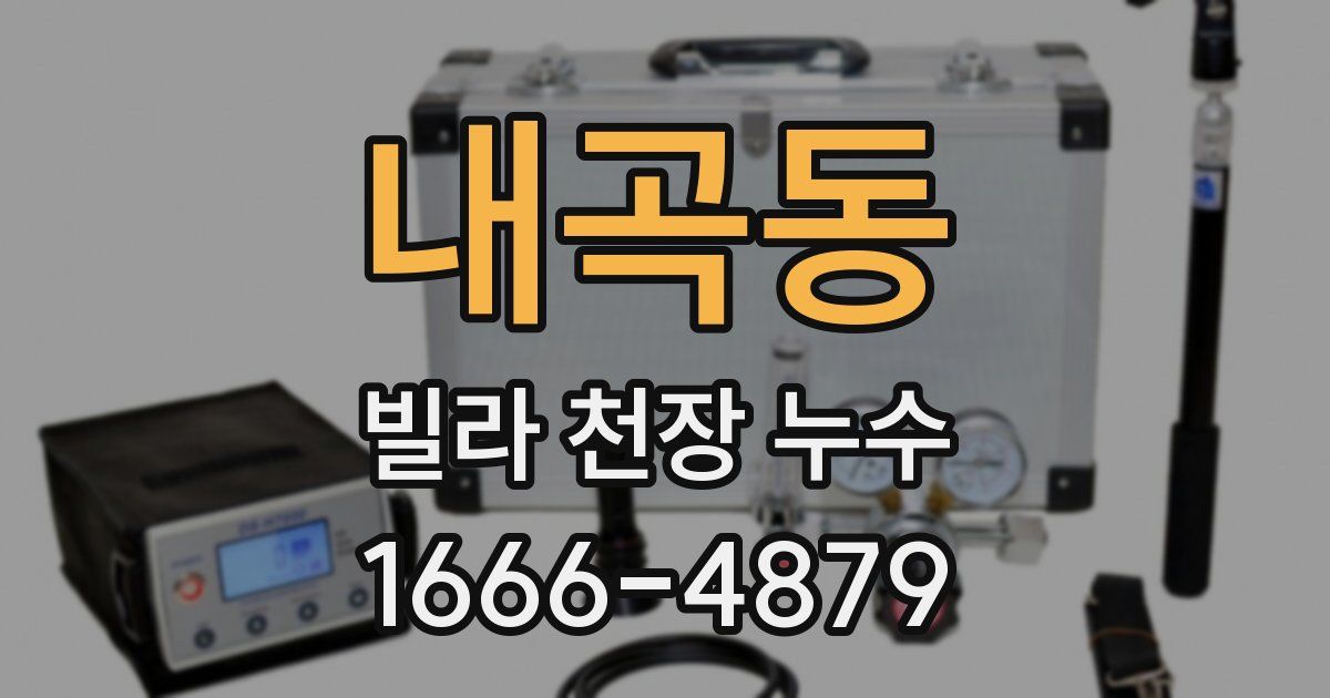 내곡동 빌라 천장 누수