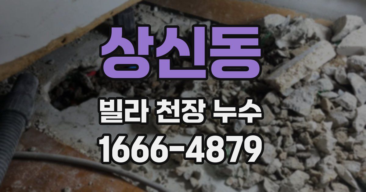 상신동 빌라 천장 누수