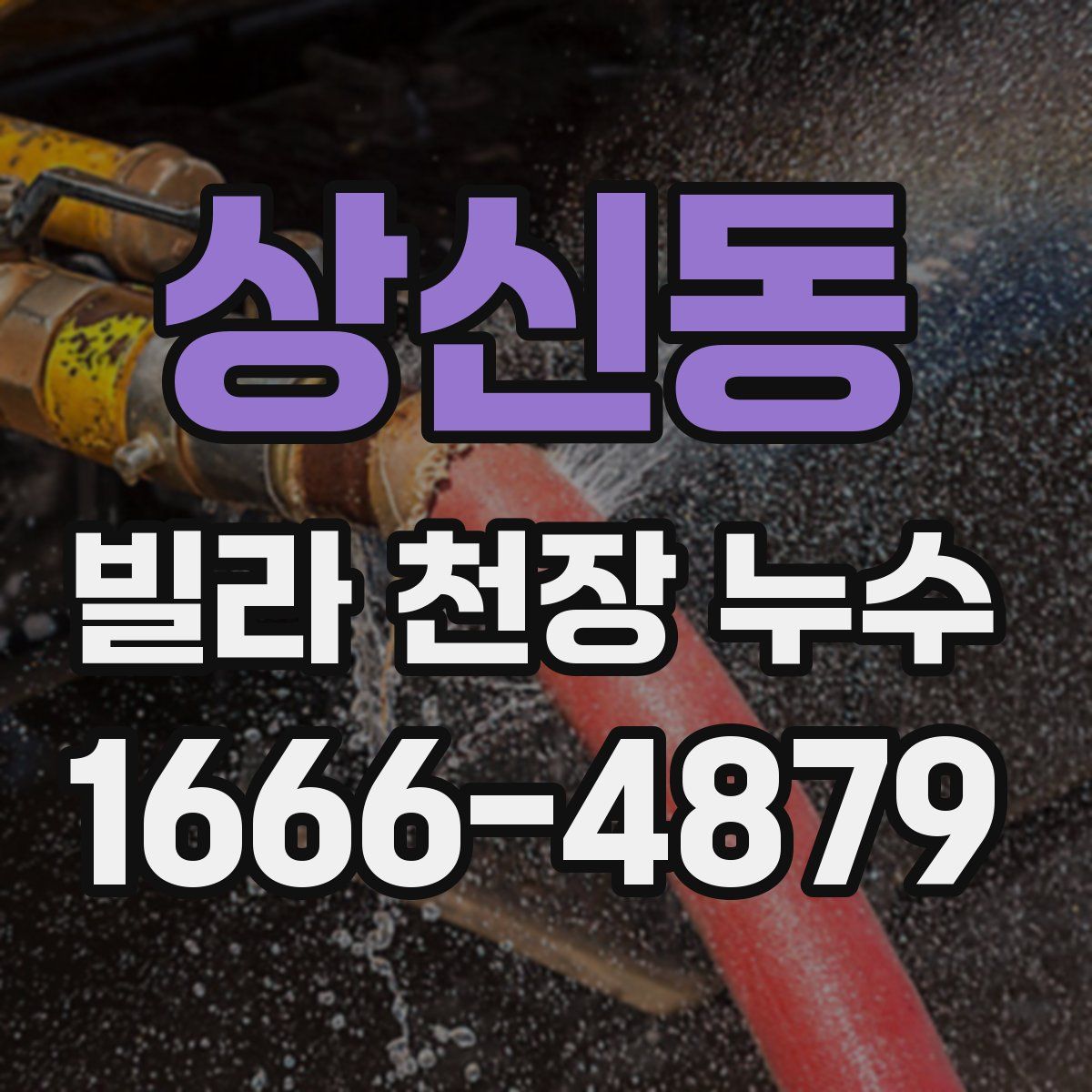상신동 빌라 천장 누수