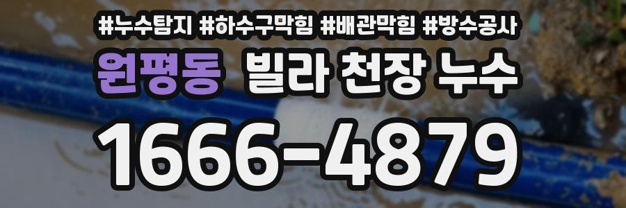 원평동 빌라 천장 누수