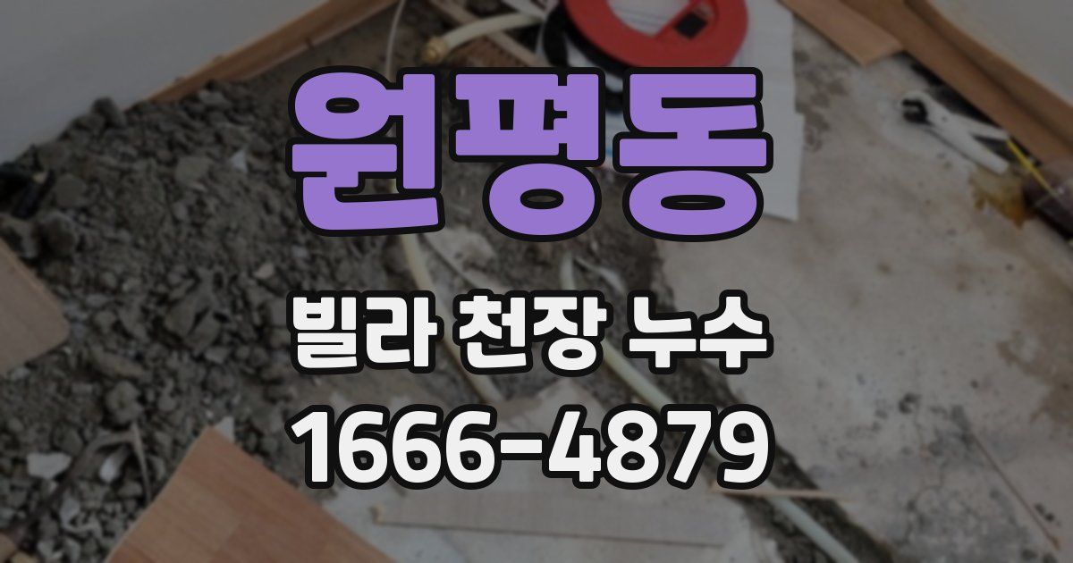 원평동 빌라 천장 누수