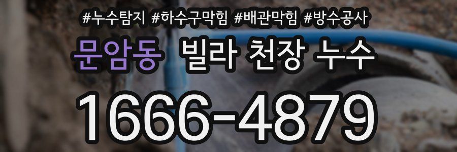 문암동 빌라 천장 누수