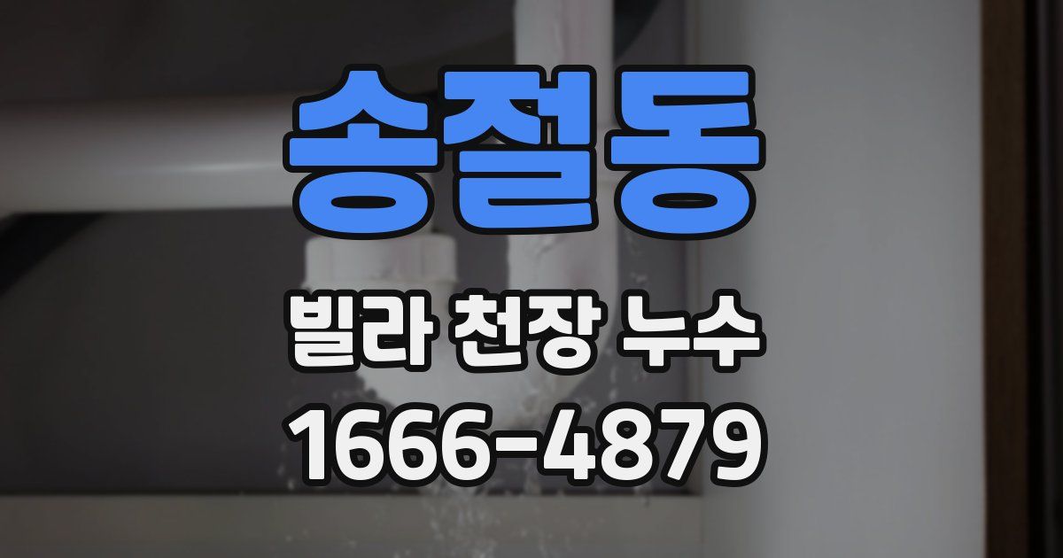 송절동 빌라 천장 누수