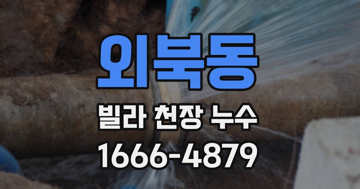외북동 빌라 천장 누수