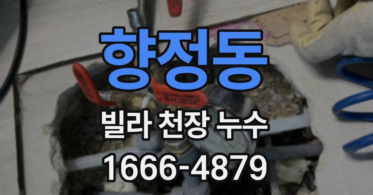 향정동 빌라 천장 누수