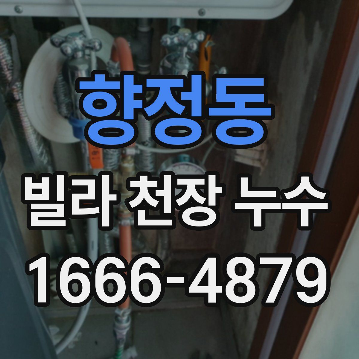 향정동 빌라 천장 누수