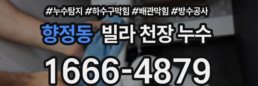 향정동 빌라 천장 누수