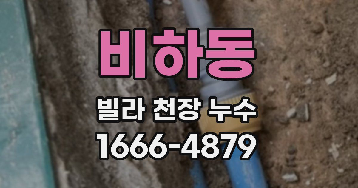 비하동 빌라 천장 누수