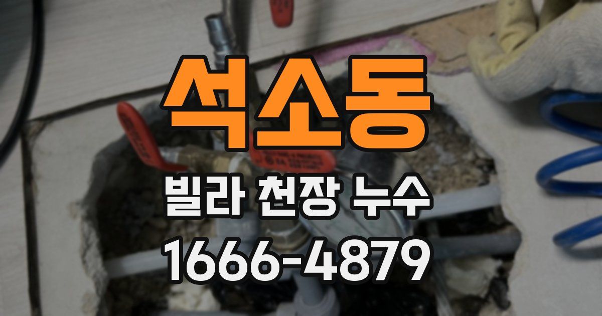 석소동 빌라 천장 누수