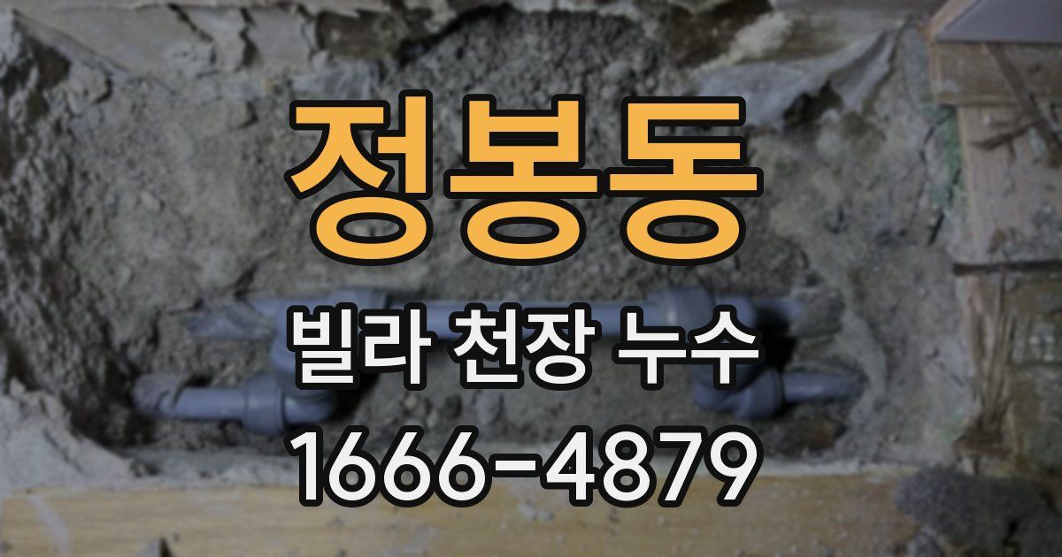 정봉동 빌라 천장 누수