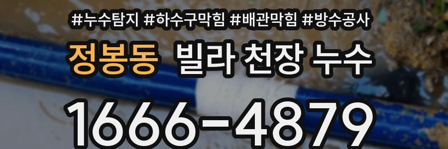 정봉동 빌라 천장 누수