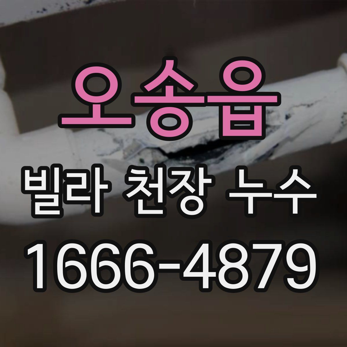 오송읍 빌라 천장 누수