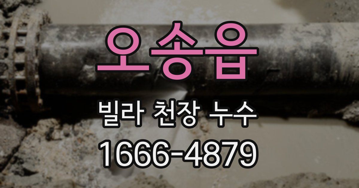 오송읍 빌라 천장 누수