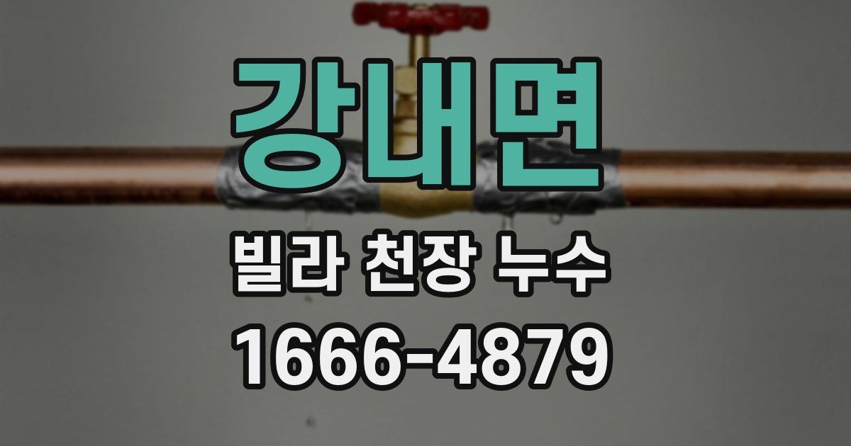 강내면 빌라 천장 누수