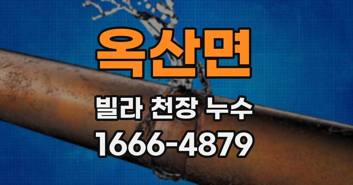 옥산면 빌라 천장 누수