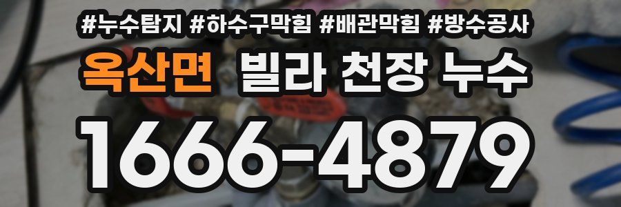 옥산면 빌라 천장 누수