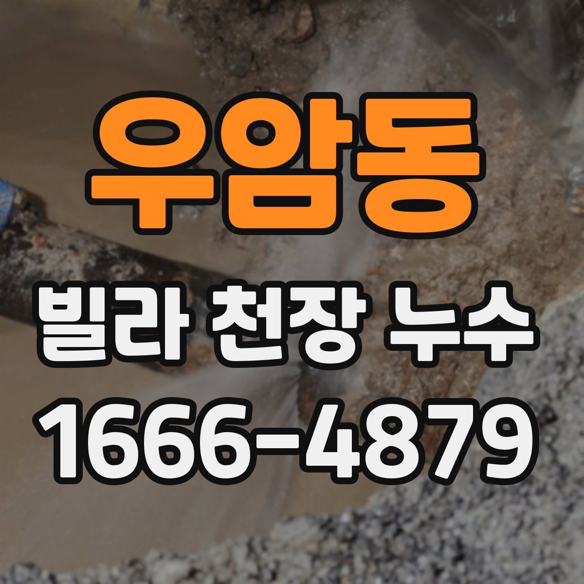 우암동 빌라 천장 누수