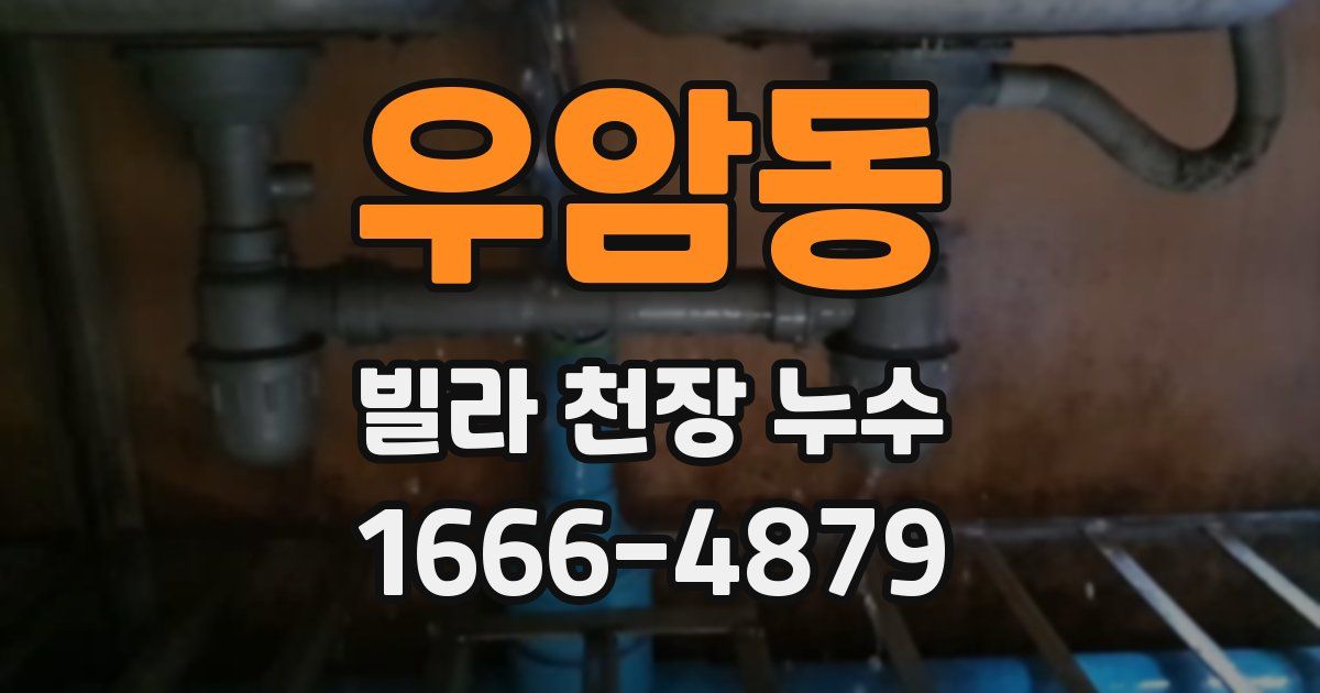 우암동 빌라 천장 누수