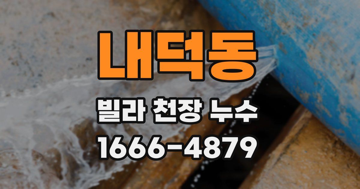 내덕동 빌라 천장 누수