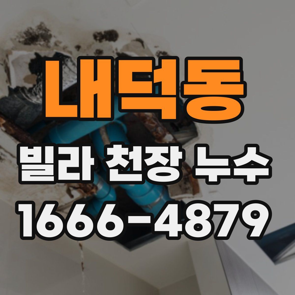 내덕동 빌라 천장 누수