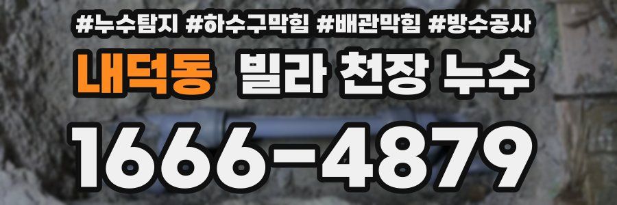 내덕동 빌라 천장 누수