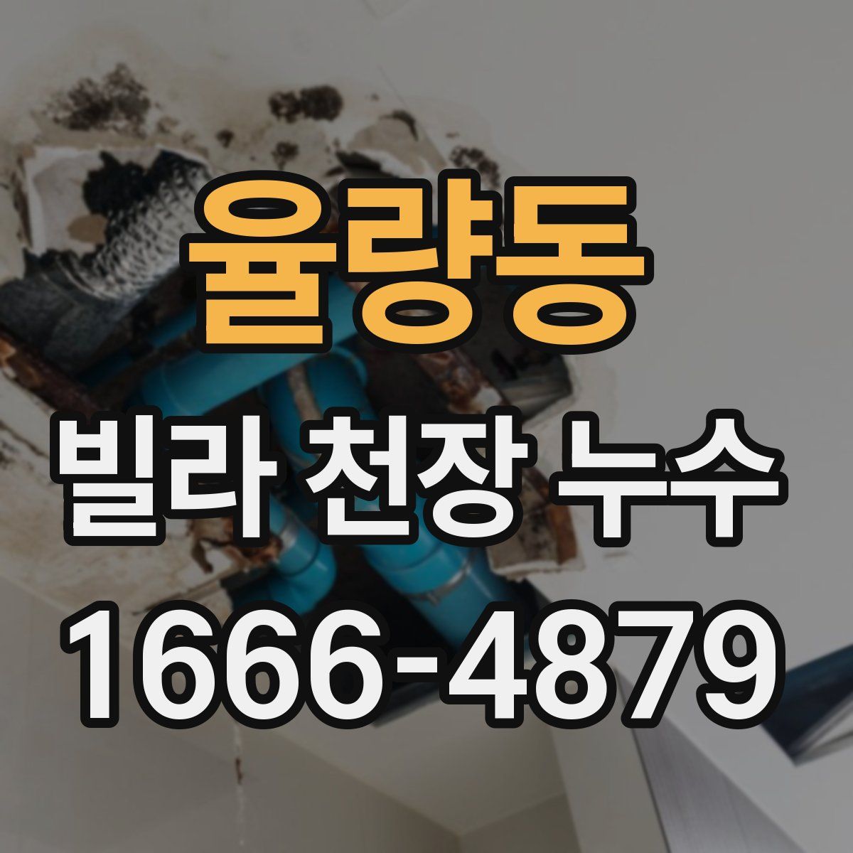 율량동 빌라 천장 누수