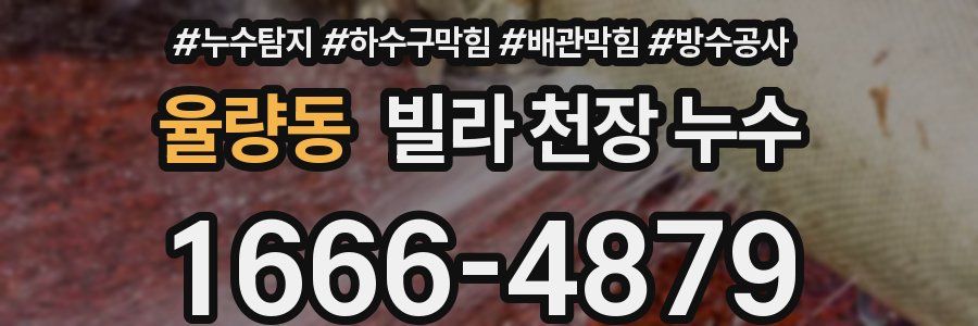 율량동 빌라 천장 누수