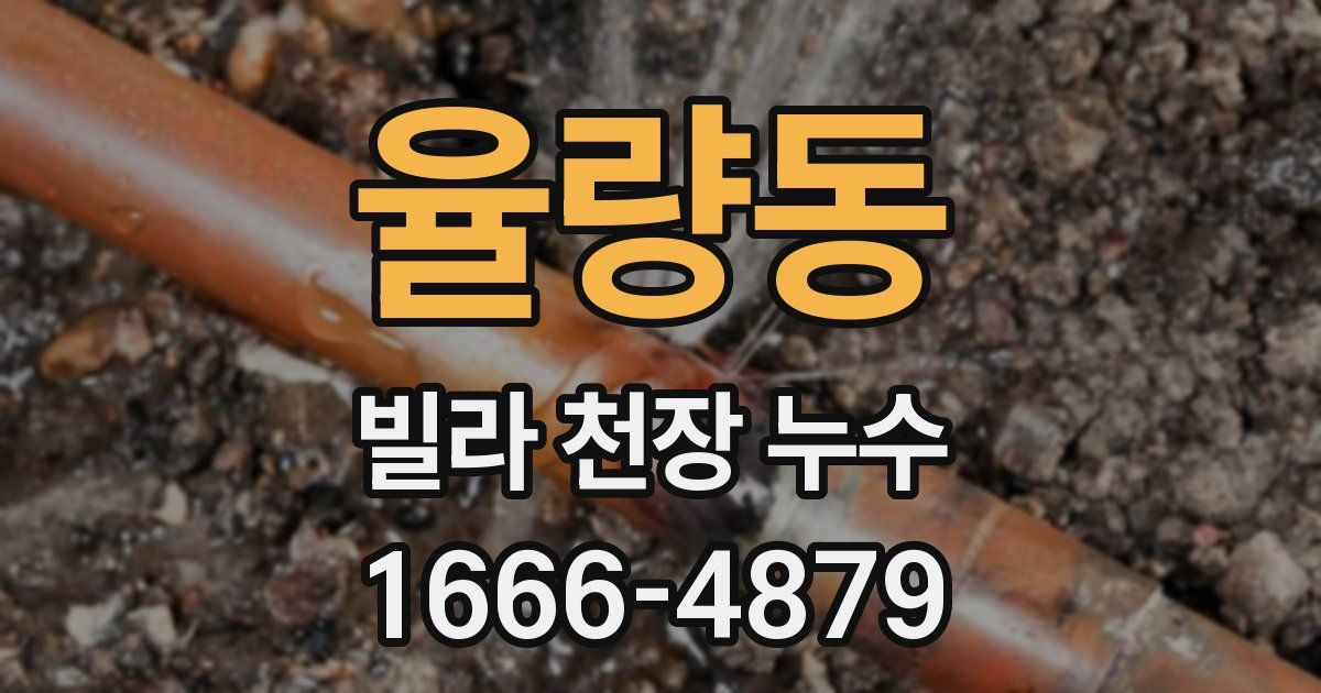 율량동 빌라 천장 누수